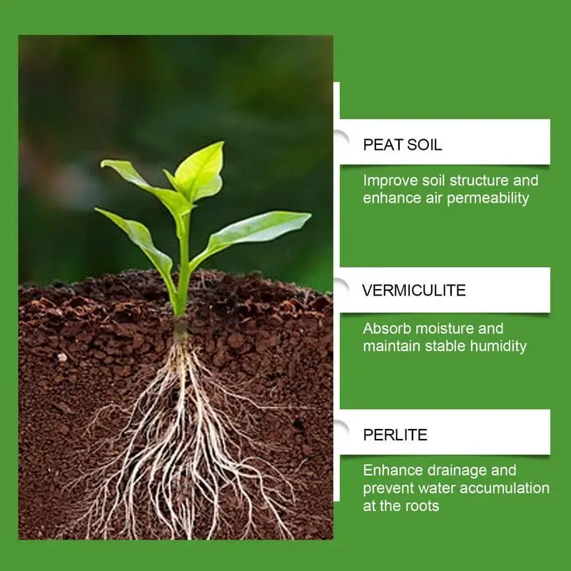Mistura de Solo para Suculenta - Bonsai Gardener avaliação e preço