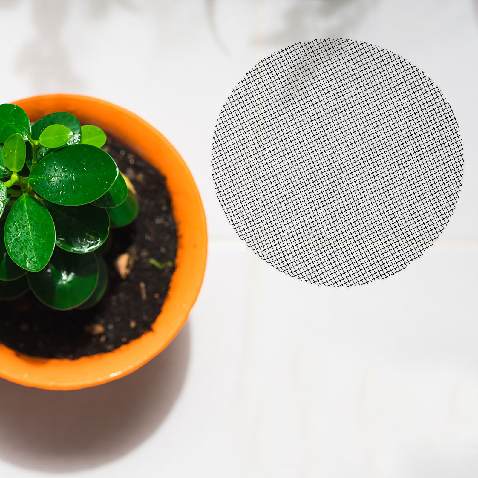 50 Peças de Rede de Drenagem R - Bonsai Gardener avaliação e preço