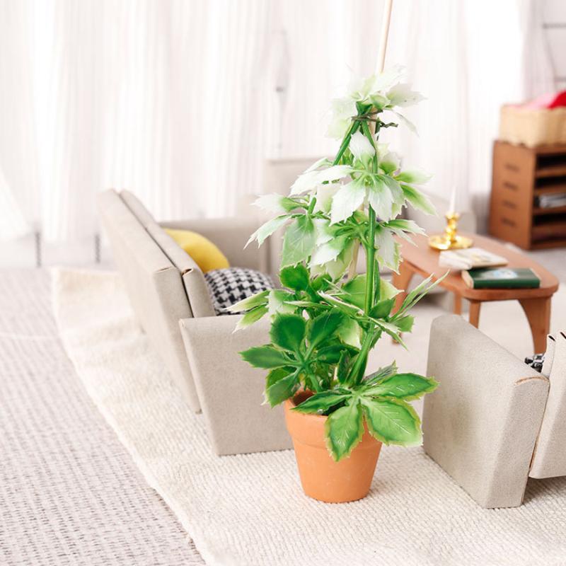 1/12 casa de bonecas simulação - Bonsai Gardener avaliação e preço