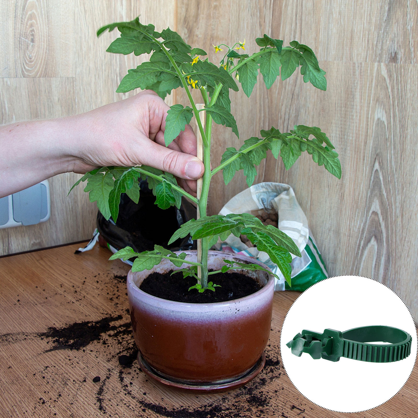 20 Peças de Fivelas de Fixação - Bonsai Garden Tree avaliação e preço