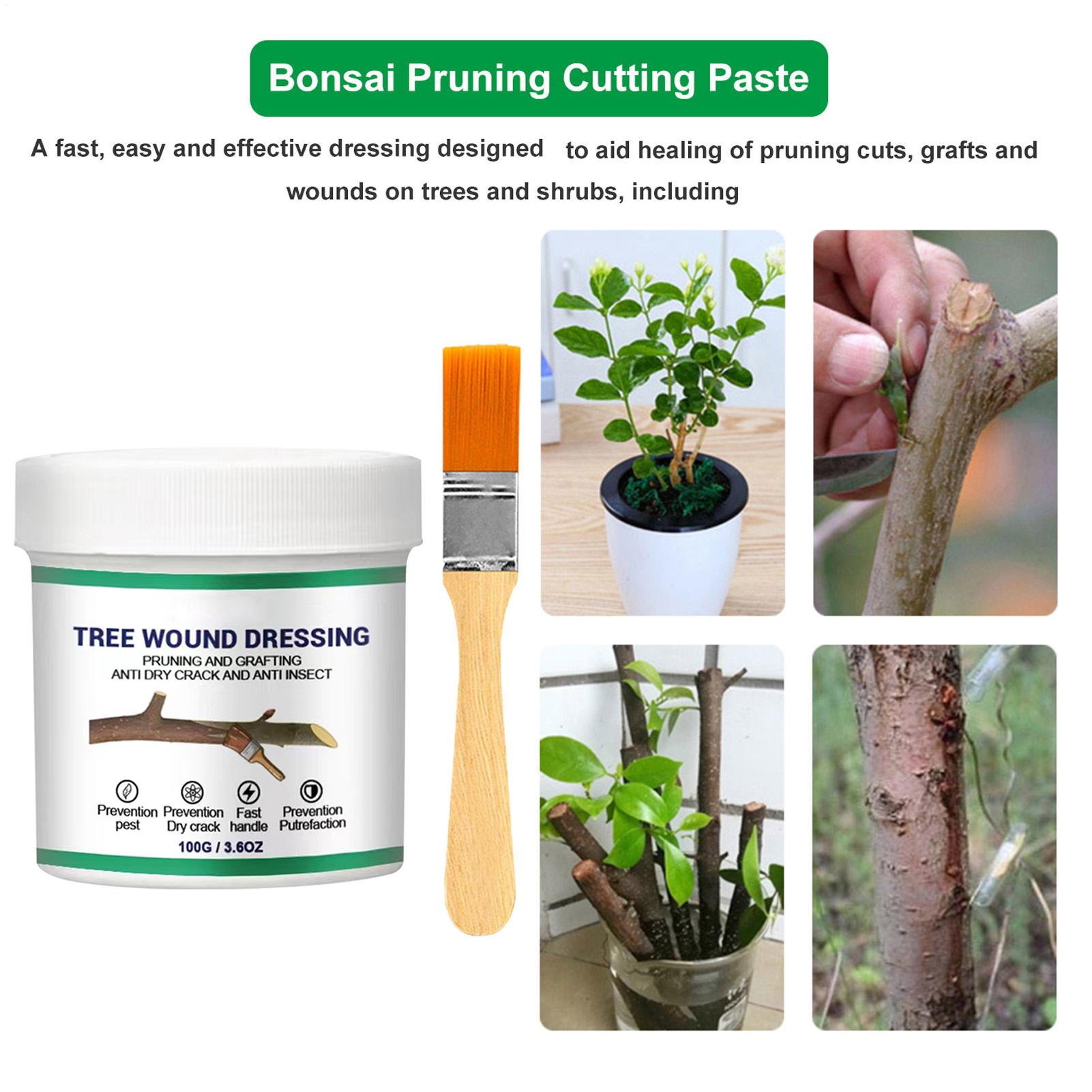 Selante para Feridas de Árvore - Bonsai Garden Tree avaliação e preço